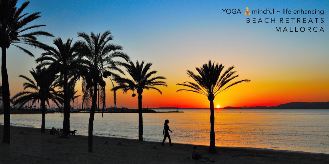 Palm trees in silhouette along the Palma seafront as the sun sets over the bay